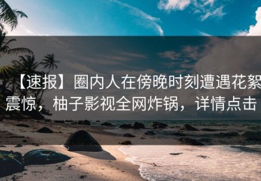 【速报】圈内人在傍晚时刻遭遇花絮震惊，柚子影视全网炸锅，详情点击