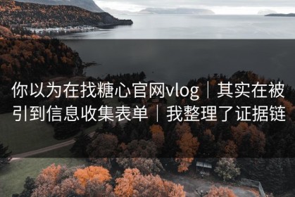 你以为在找糖心官网vlog｜其实在被引到信息收集表单｜我整理了证据链