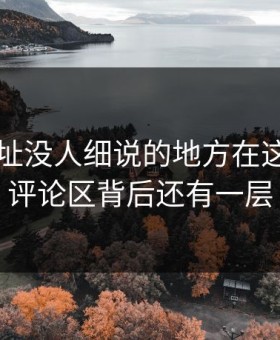 51网网址没人细说的地方在这：那条评论区背后还有一层