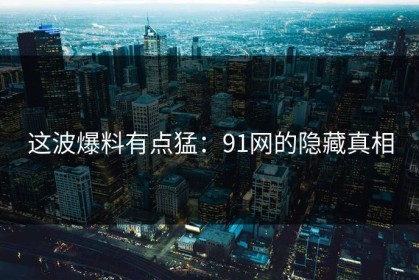 这波爆料有点猛：91网的隐藏真相