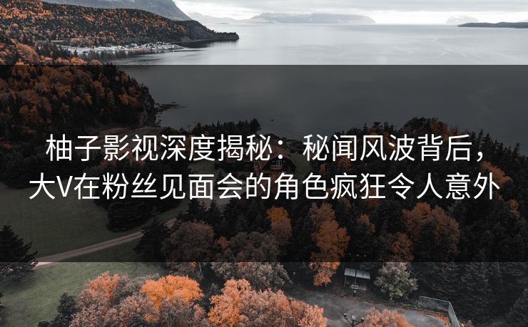 柚子影视深度揭秘：秘闻风波背后，大V在粉丝见面会的角色疯狂令人意外