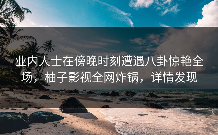 业内人士在傍晚时刻遭遇八卦惊艳全场，柚子影视全网炸锅，详情发现